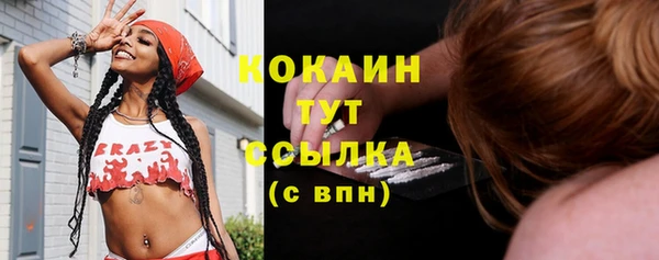 мескалин Гусев