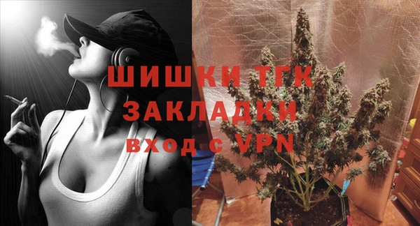 прущие грибы Гусь-Хрустальный