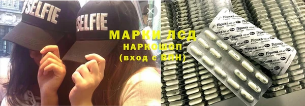 прущие грибы Гусь-Хрустальный