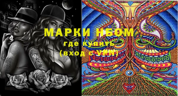 прущие грибы Гусь-Хрустальный
