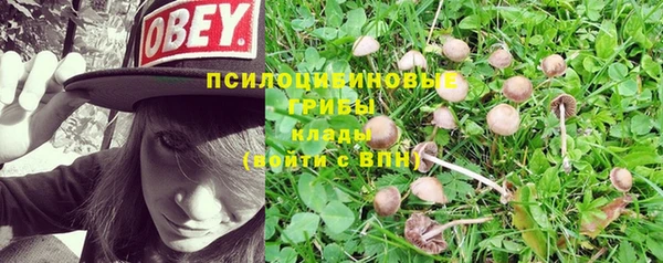 меф Горняк