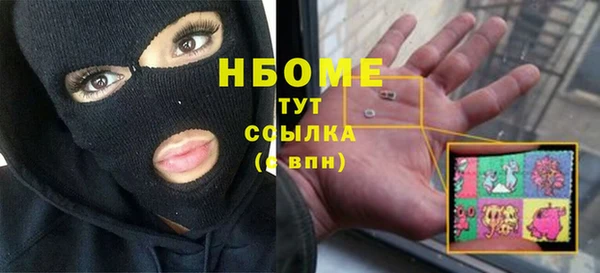 прущие грибы Гусь-Хрустальный