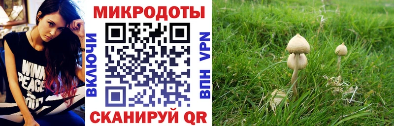 OMG маркетплейс  Малая Вишера  Галлюциногенные грибы Cubensis 